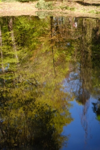 DSCF9229 Duży