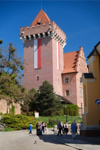 DSCF9341 Duży