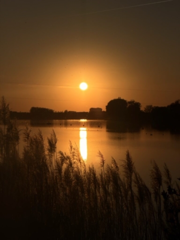 IMG_5046 Duży