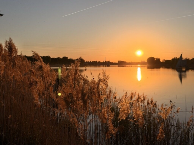 IMG_5047 Duży