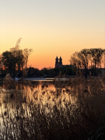IMG_5675 Duży