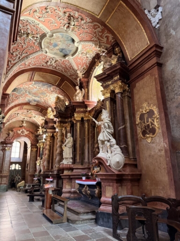 IMG_5841 Duży