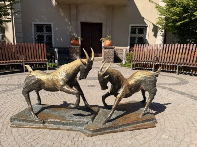 IMG_5847 Duży