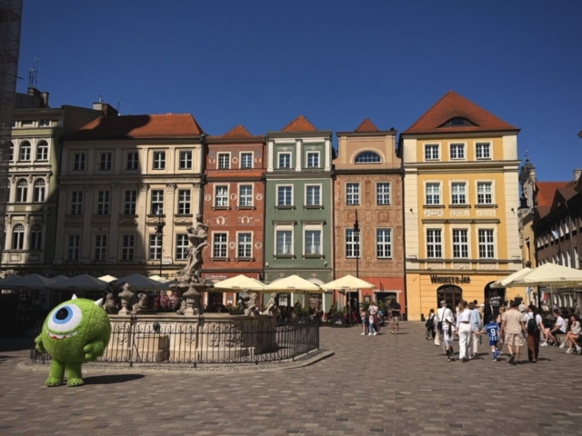 IMG_5913 Duży