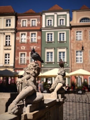 IMG_5922 Duży