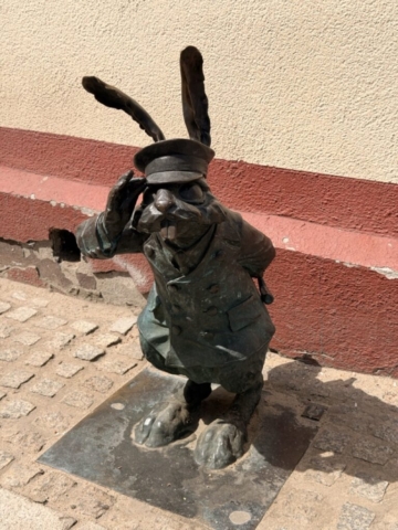 IMG_6011 Duży