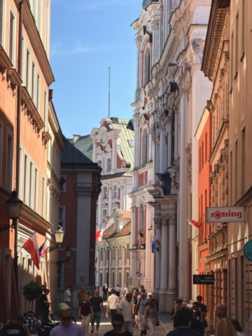 IMG_6082 Duży
