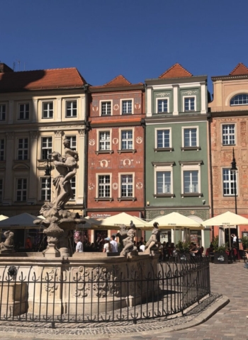 IMG_6096 Duży