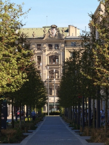 IMG_6103 Duży
