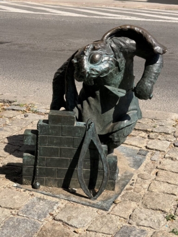 IMG_6202 Duży