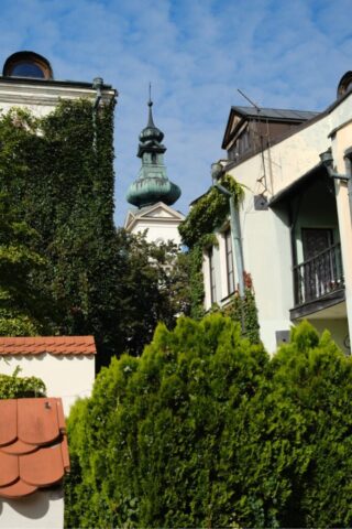 DSCF9821 Duży