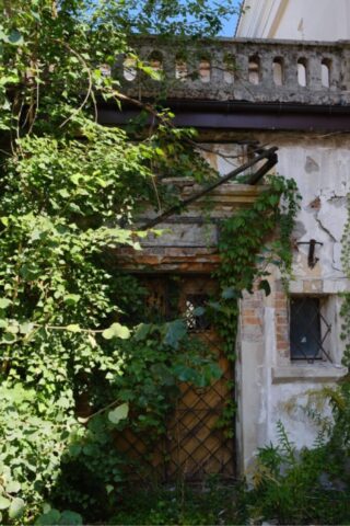 DSCF9861 Duży